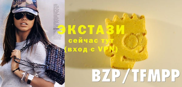 индика Козельск