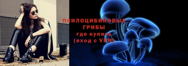 таблы Горняк